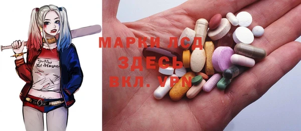 гашик Майский