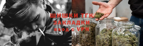 ГАЛЛЮЦИНОГЕННЫЕ ГРИБЫ Абинск