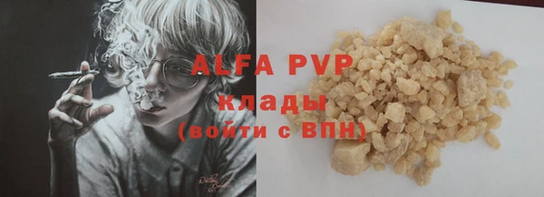 гашик Майский