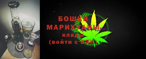 гашик Майский