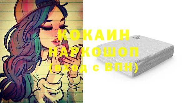 гашик Майский