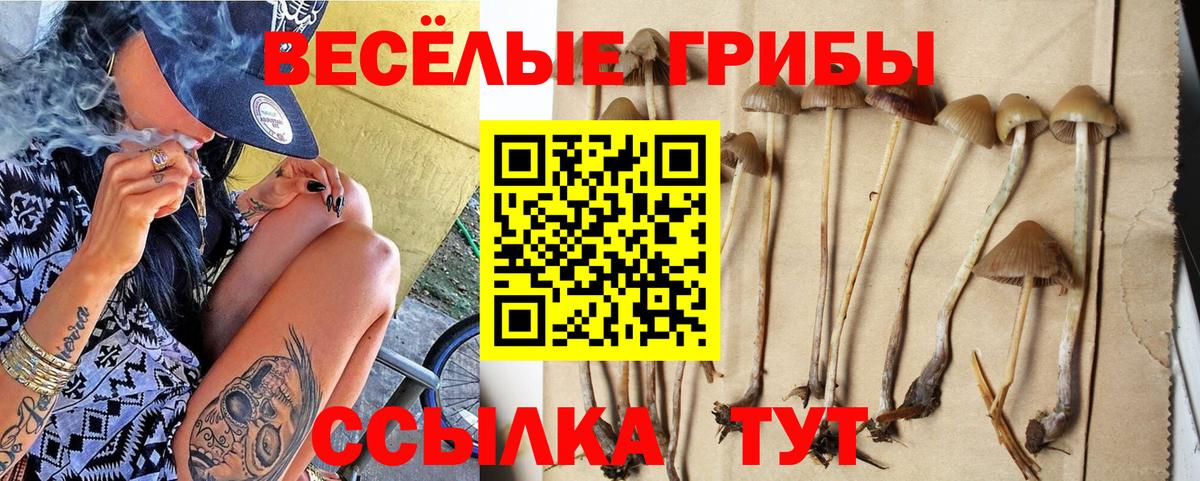 Химки  Галлюциногенные грибы MAGIC MUSHROOMS  Вход с VPN  Псилоцибиновые грибы прущие грибы 
